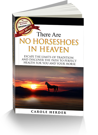There Are No Horseshoes In Heaven Escape The Limits Of Tradition And
Discover The Path To Perfect Health For