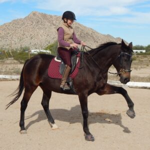 The Horse's Hoof, riding a barefoot horse