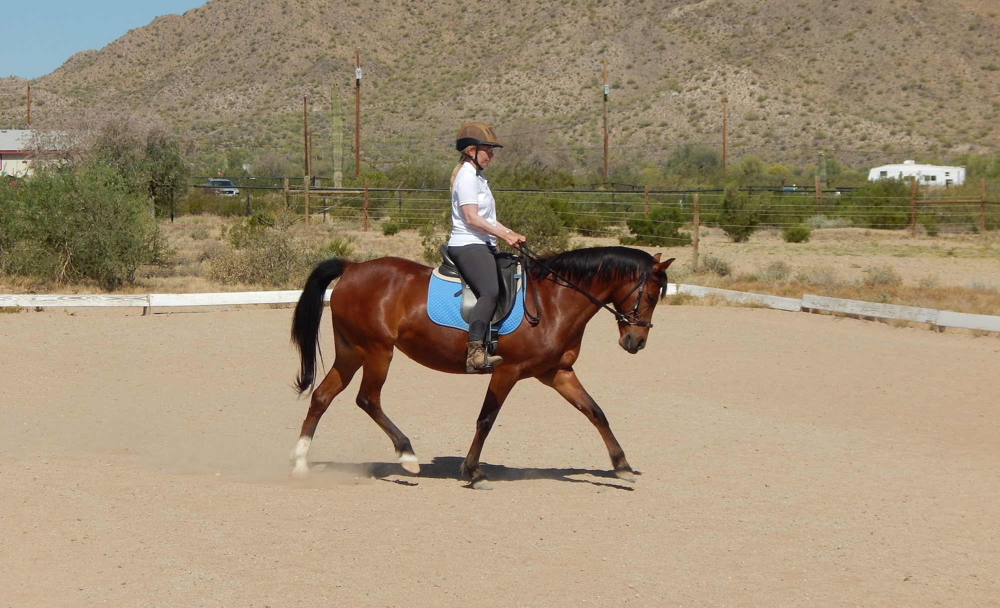 My Barefoot Story, with a Bitless Twist