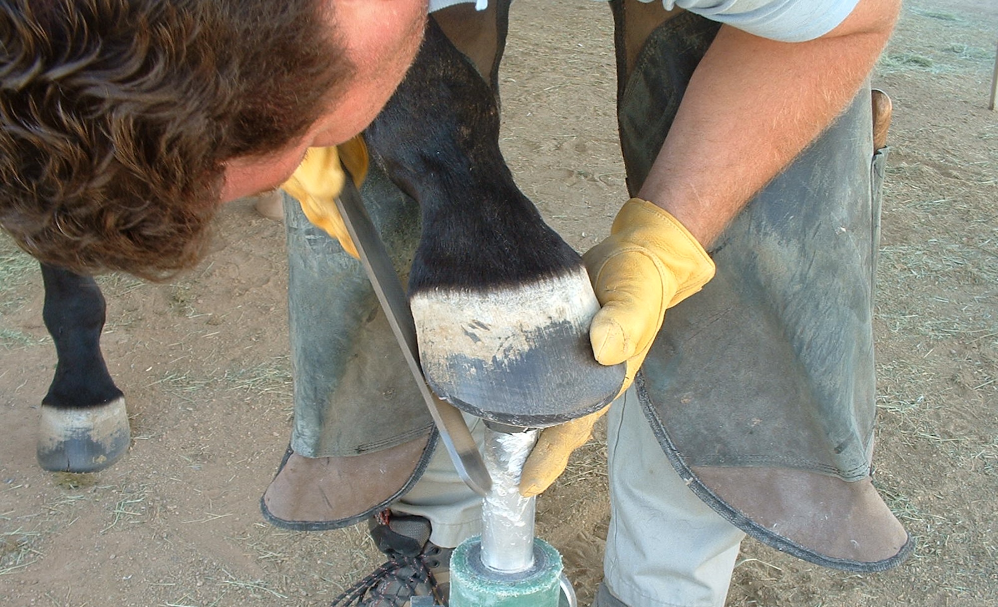 James Welz’ Healthy Barefoot Trimming Basics