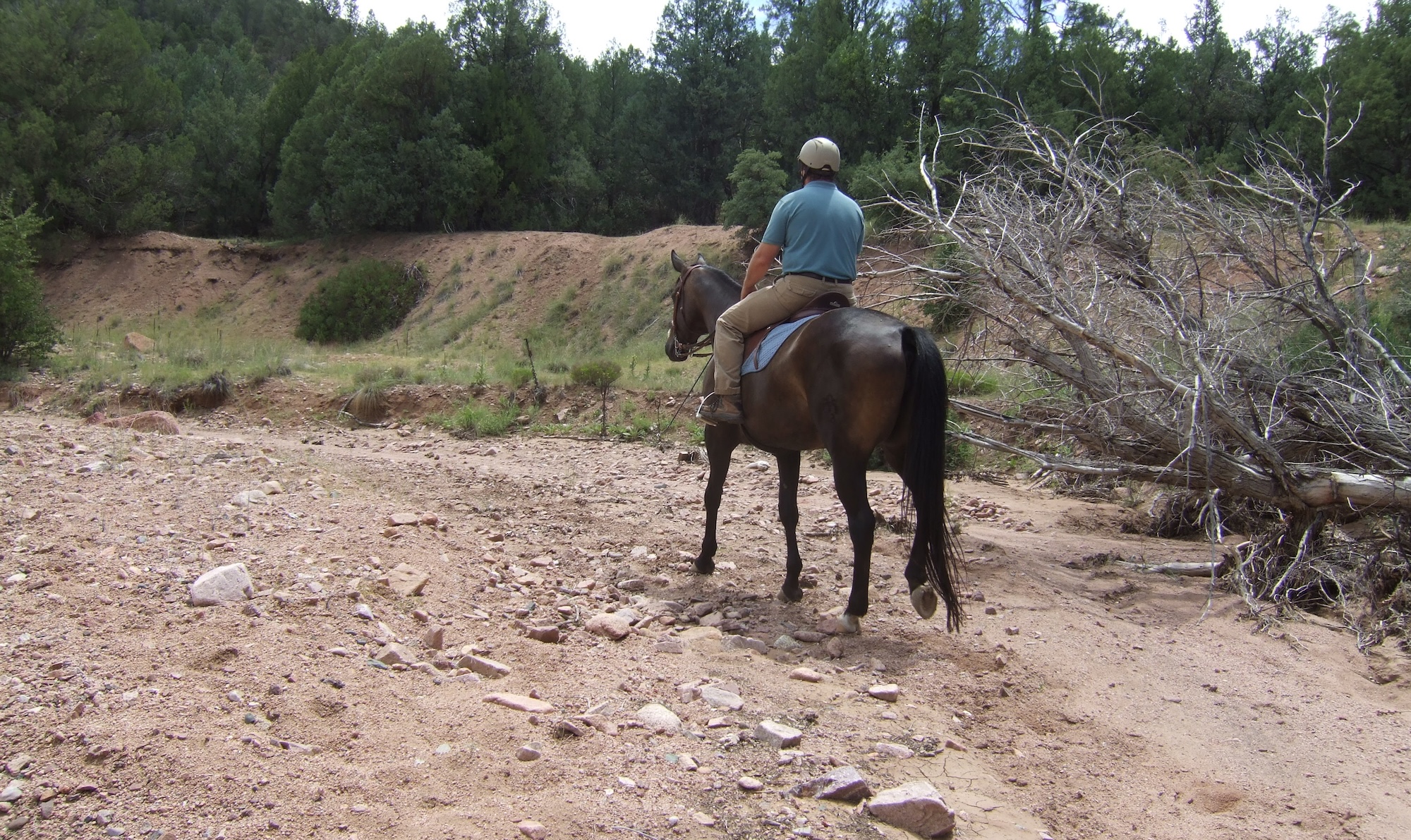 Rock Crushing Hooves?