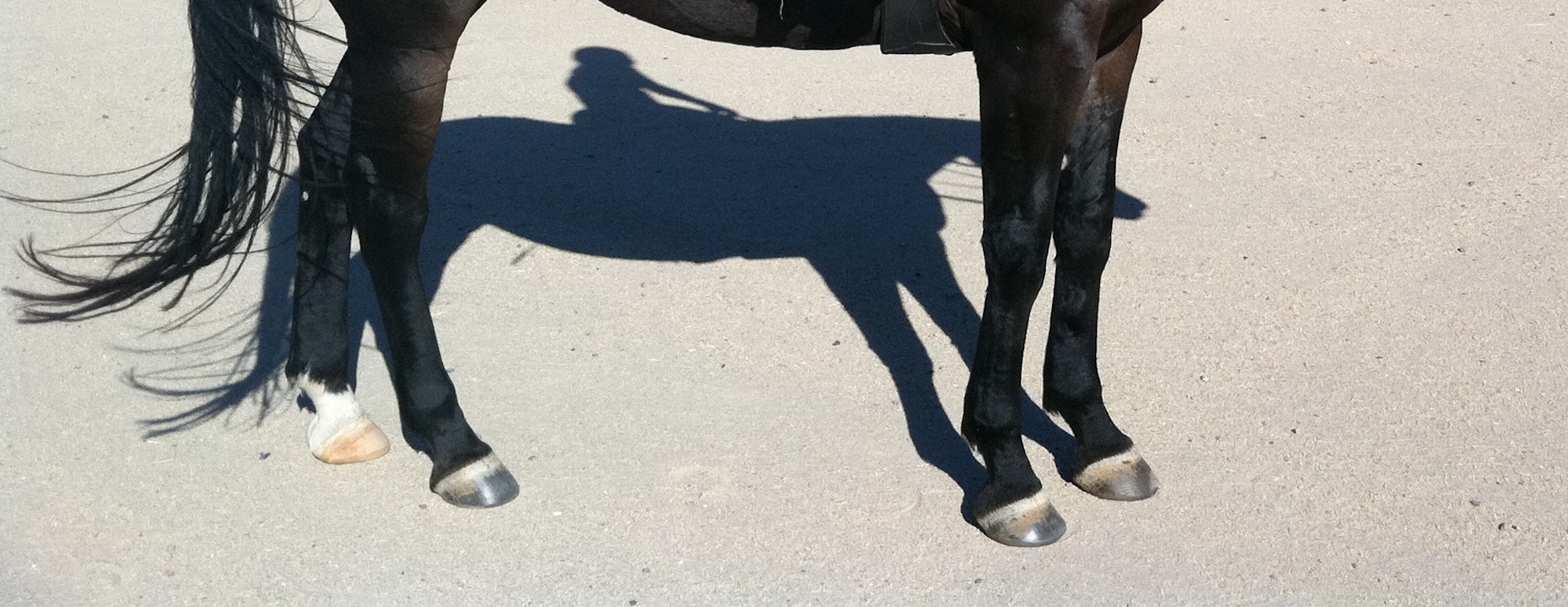 The Welz Paradigm of the Hoof