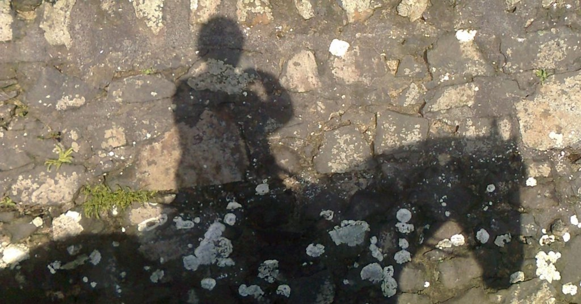 Positive Reinforcement Training