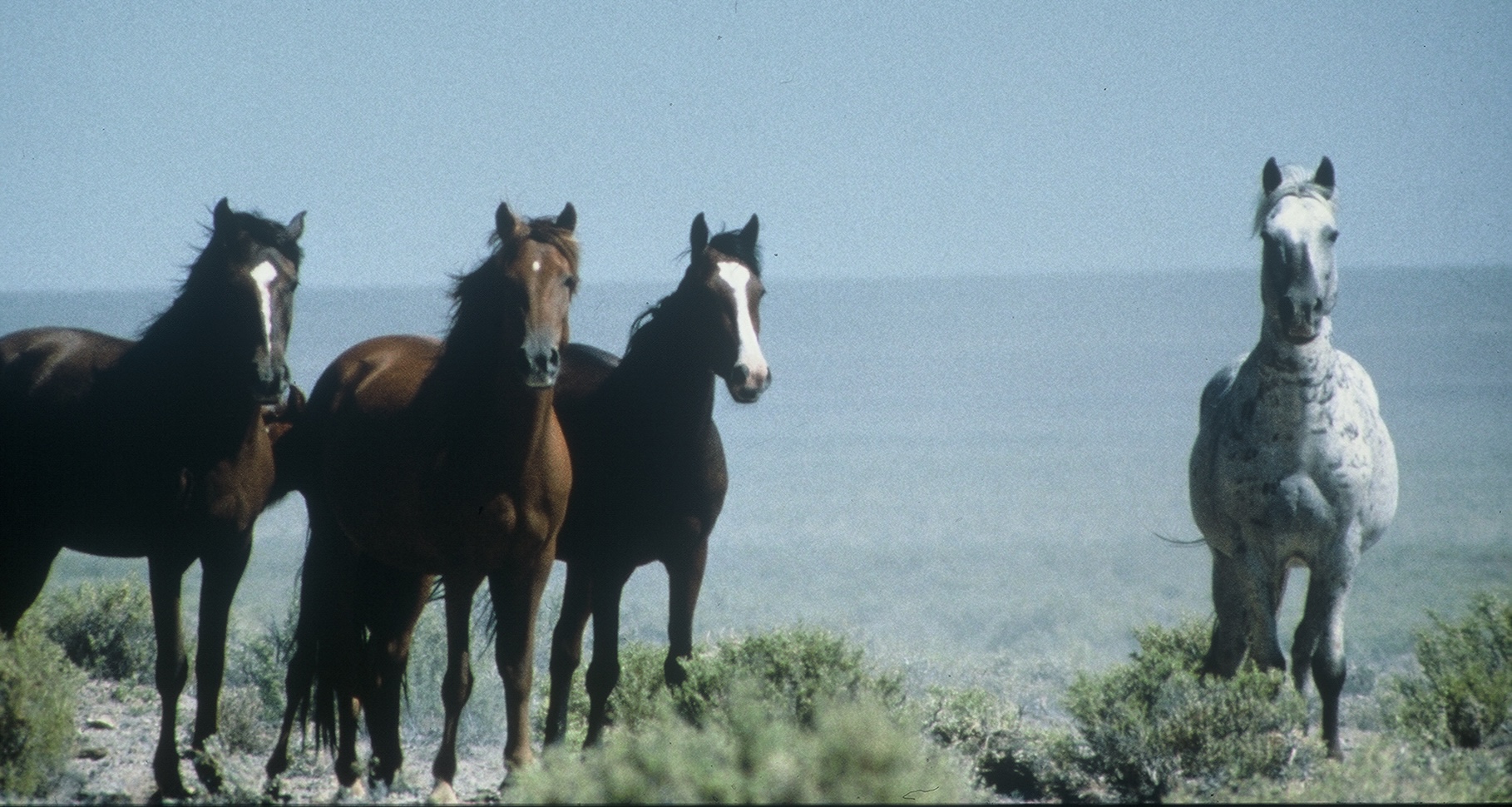 An Interview with Jaime Jackson