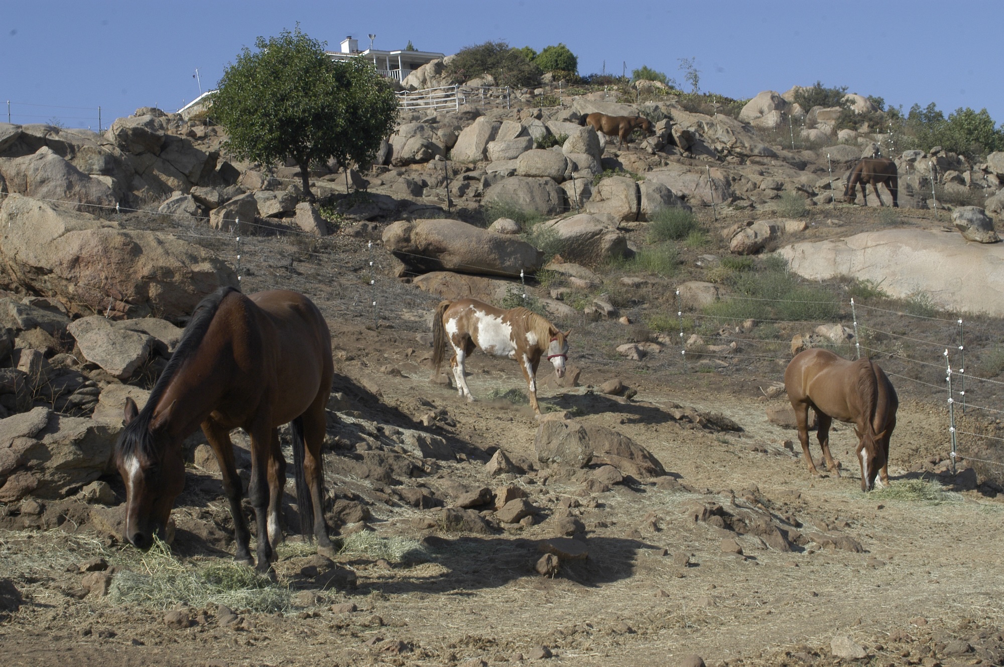 Spreading the Barefoot Word with Joe Camp