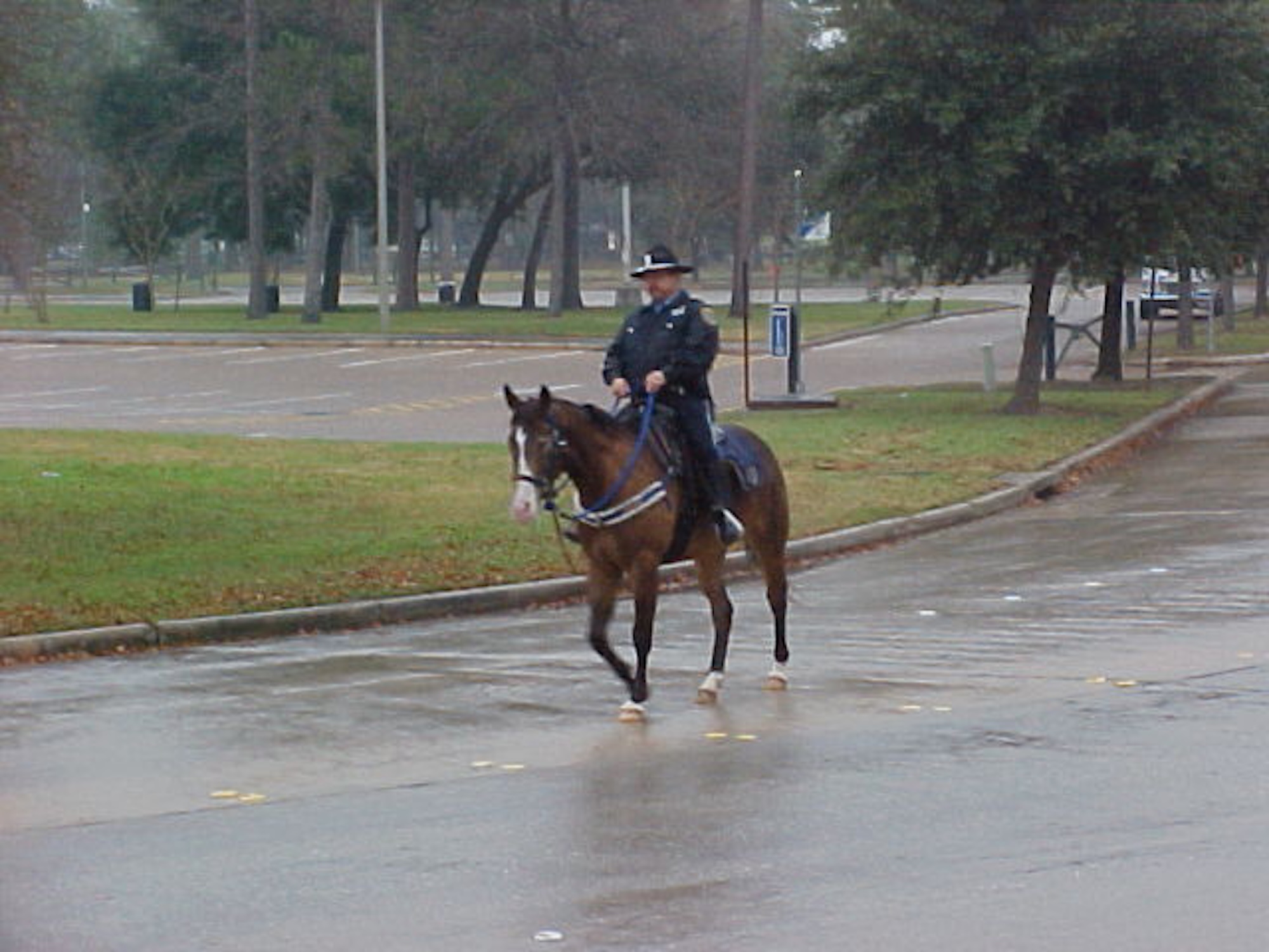 City of Houston Police Horses Go Barefoot, Part 1