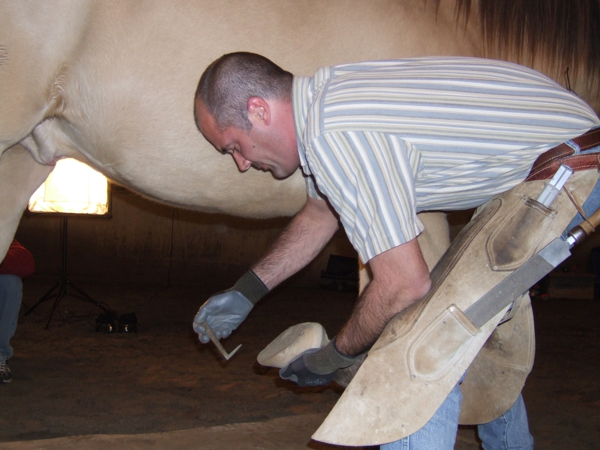 Pete Ramey: The Bars of the Hoof