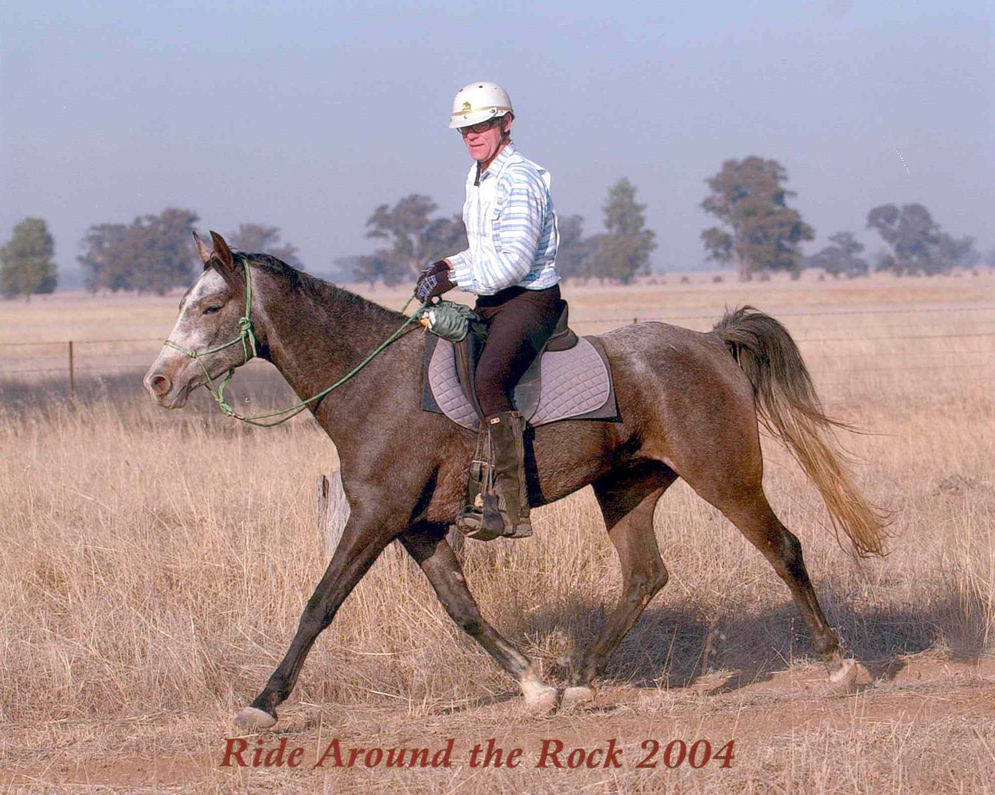 Dr Steven Roberts: Equine Vets Should Consider Barefoot