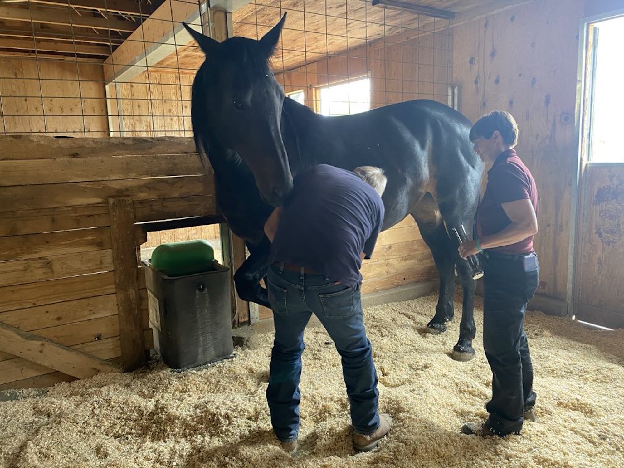 Blaine St Peter: Healing Founder